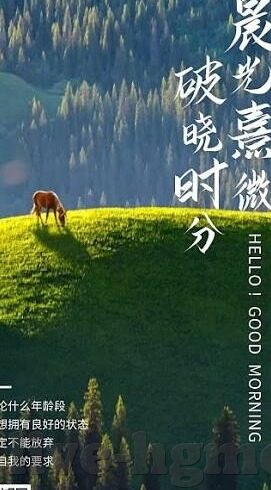 麻豆91大神-麻豆91大神的数字时代艺术探索——从技术革新到创意无限